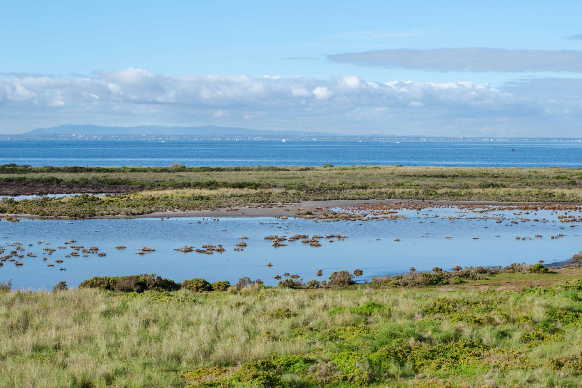 Beautiful view of the coastal wetland against the blue sea on the outskirt of Melbourne. The habitat areas of Cheetham Wetlands. Altona Meadows, VIC Australia. Beautiful view of the coastal wetland against the blue sea on the outskirt of Melbourne. The habitat areas of Cheetham Wetlands. Altona Meadows, VIC Australia.